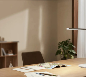 """Xiaomi Desk Lamp Lite""