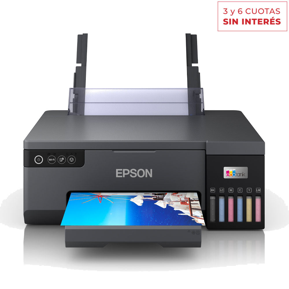 Epson L8050 (8738)